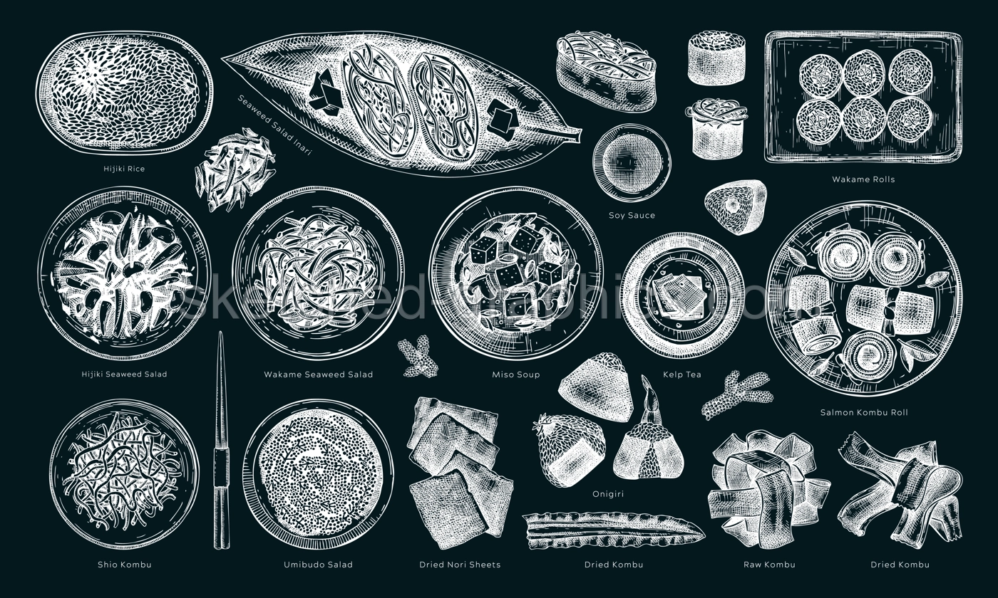 Hand-drawn healthy food vector illustration collection. Vintage edible seaweed dishes sketches with names on chalkboard. Asian cuisine menu design elements in engraved style Illustration